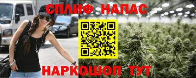 мяу мяу мука Будённовск