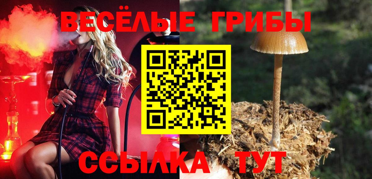 Псилоцибиновые грибы мухоморы Феодосия
