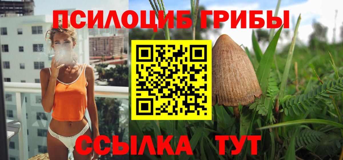 Галлюциногенные грибы Magic Shrooms  Псилоцибиновые грибы GOLDEN TEACHER  где купить наркотик  Феодосия  Вход с VPN 